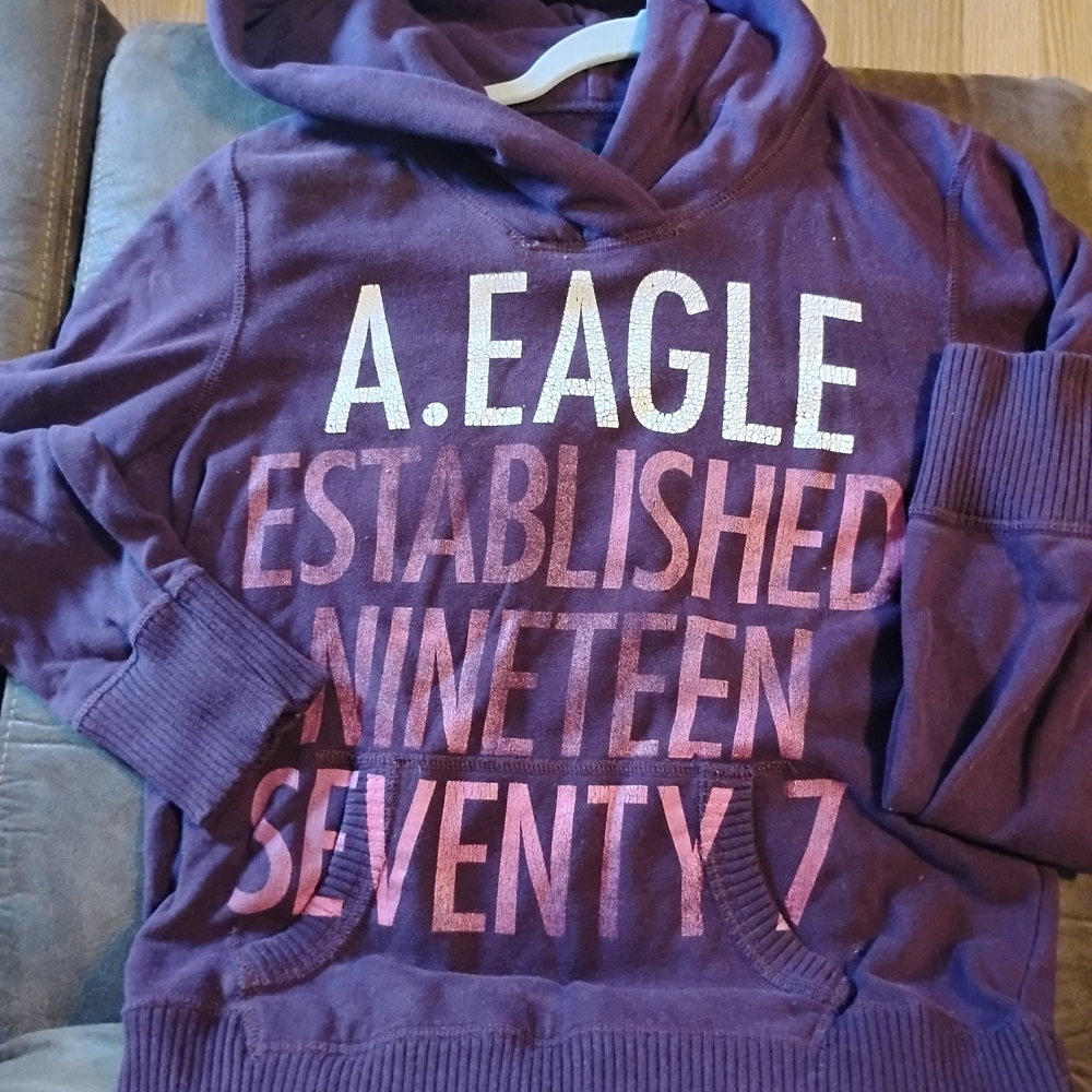 American Eagle Outfitters Purple Hoodie Sweater